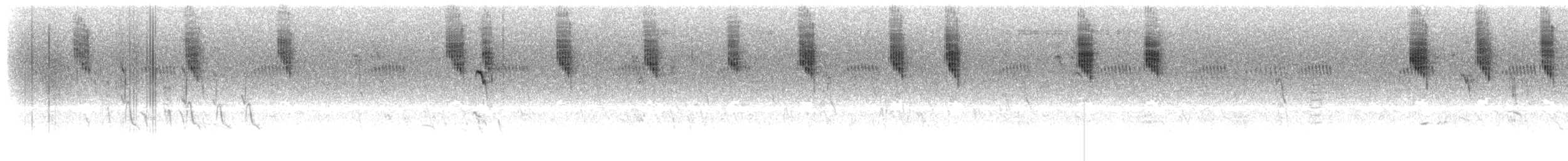 Maluro Meridional - ML620912252