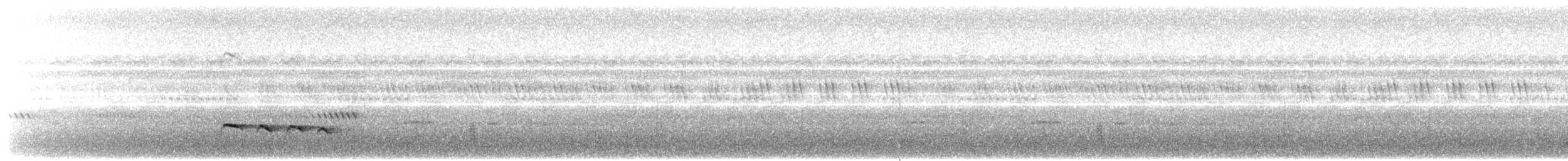 Banded Bay Cuckoo - ML620912389