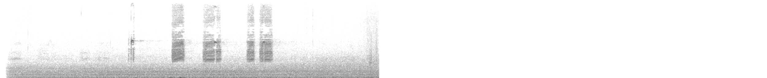Halsbandfrankolin [henrici-Gruppe] - ML620913252