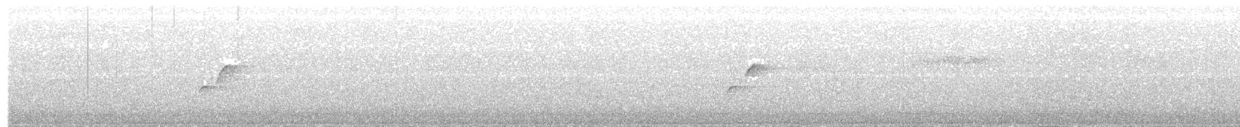 Batı Amerika Sinekkapanı (occidentalis/hellmayri) - ML620913474
