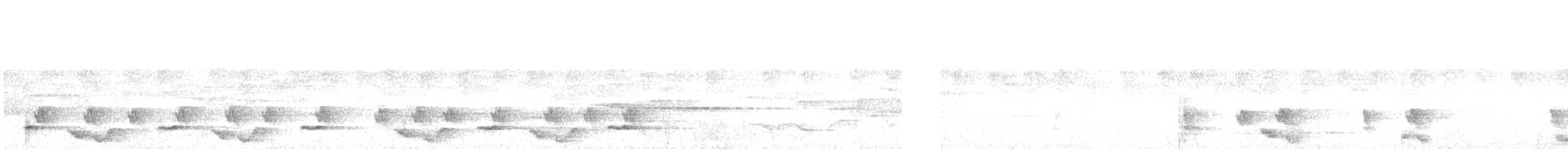 Phasianelle onchall - ML620914744