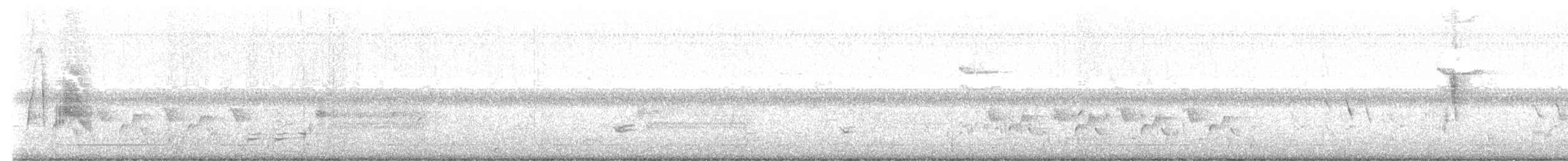 tyranovec vrbový (ssp. traillii) - ML620916226