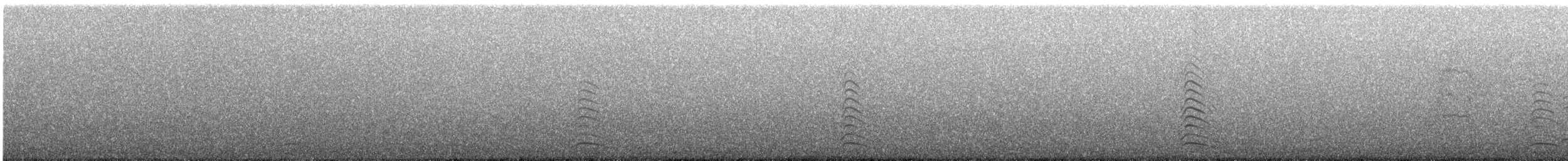 Black-tailed Gull - ML620916811