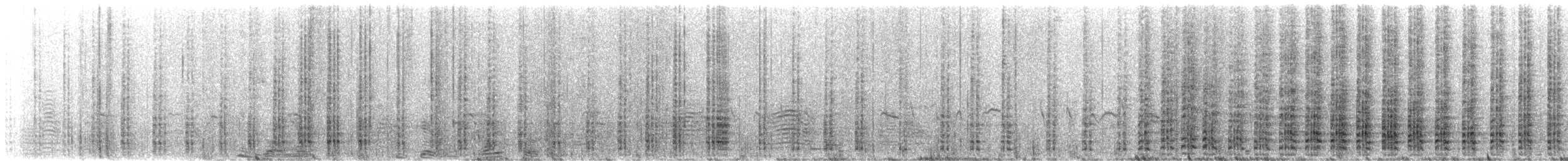 rødfotsule (websteri) - ML620918220