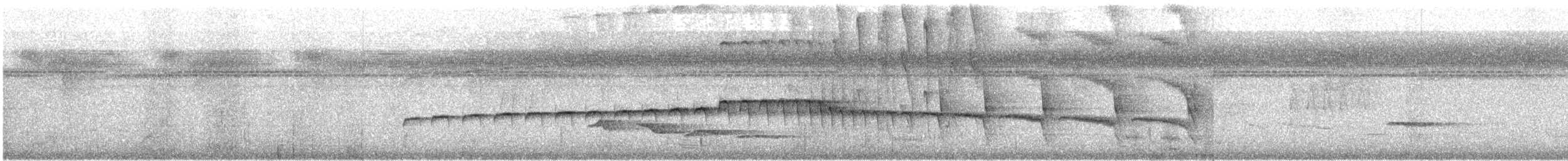 Hormiguero Ocelado - ML620920424