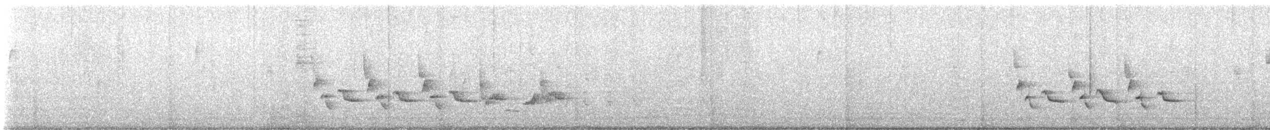 Поплітник каролінський - ML620922231