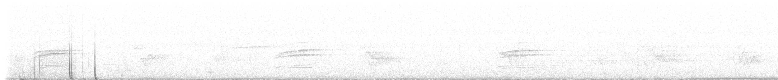 Дрізд-короткодзьоб плямистоволий - ML620929088