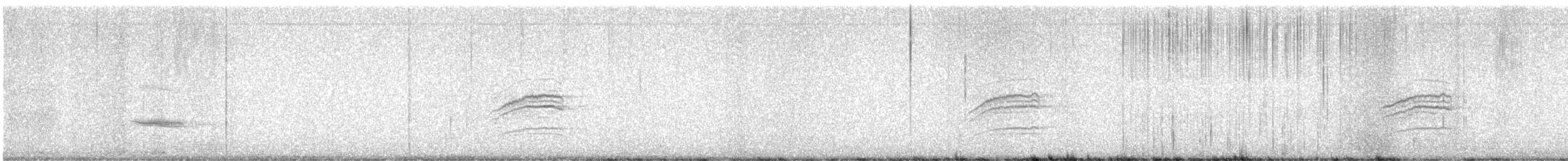Дрізд-короткодзьоб плямистоволий - ML620929437