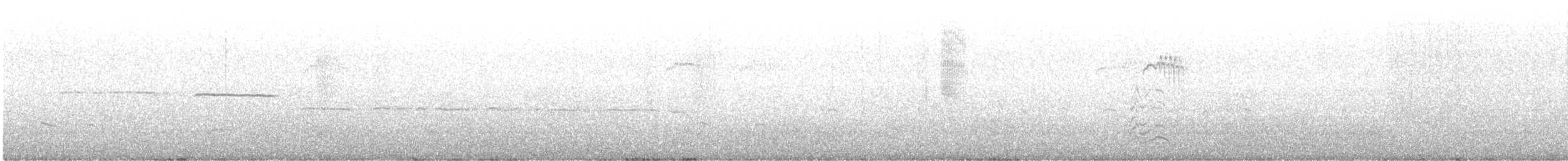 גיבתונית לבנת-גרון - ML620932902