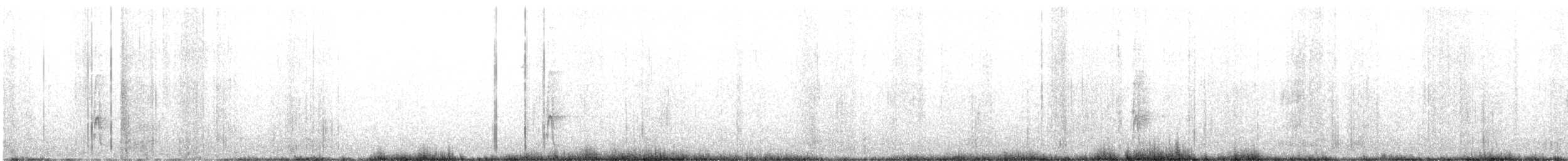 datlík smrkový (ssp. dorsalis) - ML620935269