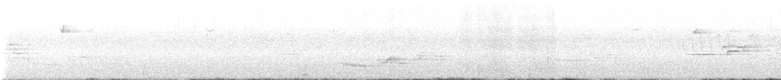 Münzevi Bülbül Ardıcı - ML620935536