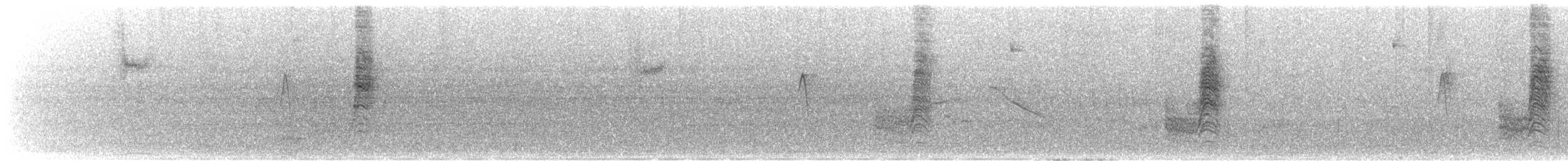 Southern House Wren - ML620936832