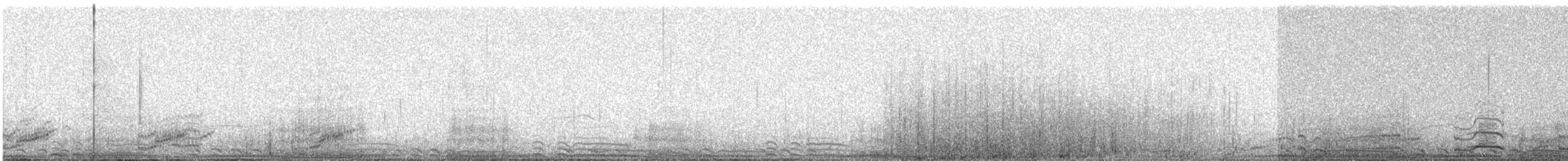 Giant Coot - ML620937452