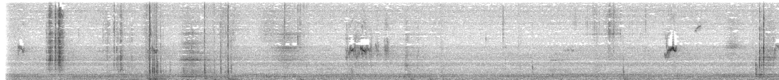 Mountain Parakeet - ML620937528