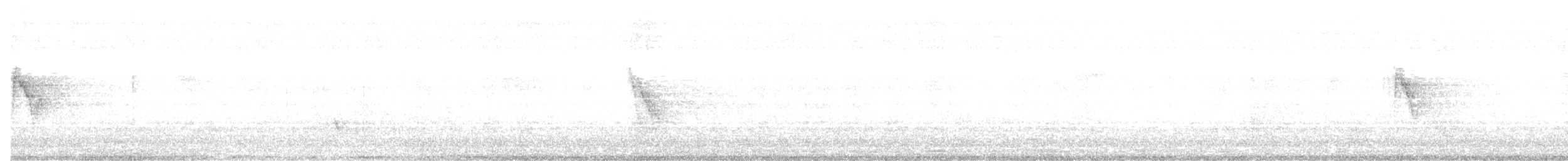 White Wagtail - ML620940959