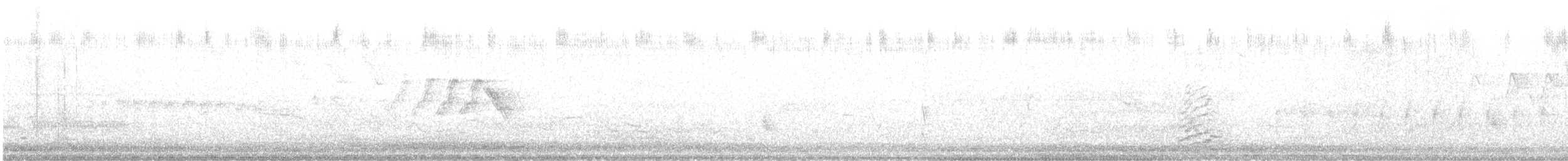 Rufous Hummingbird - ML620941017