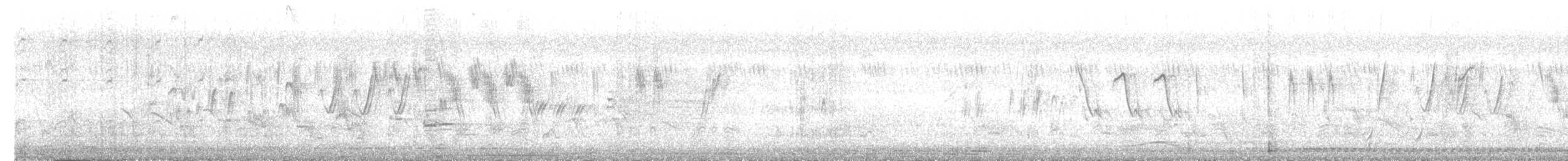 White-browed Wagtail - ML620945279