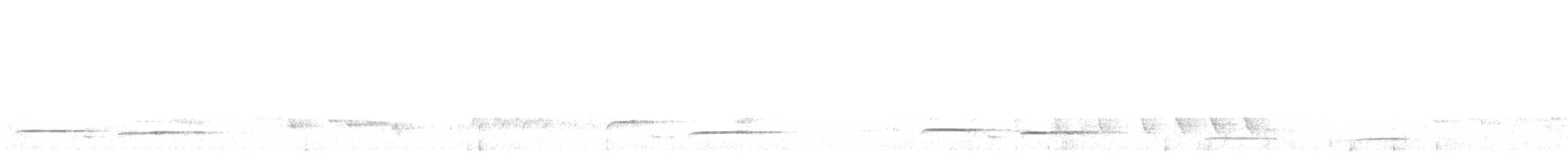 Sunda Brush Cuckoo - ML620949898