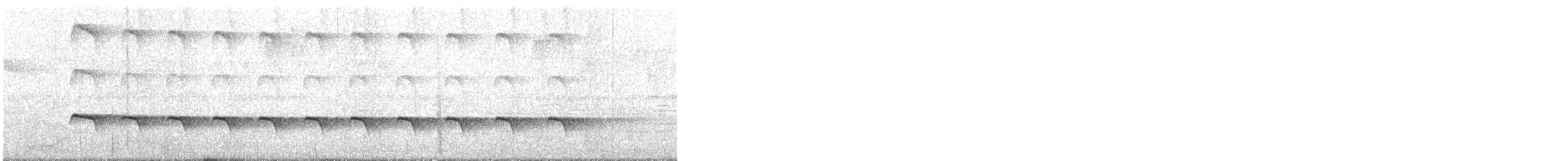 Zeledon's Antbird - ML620956992