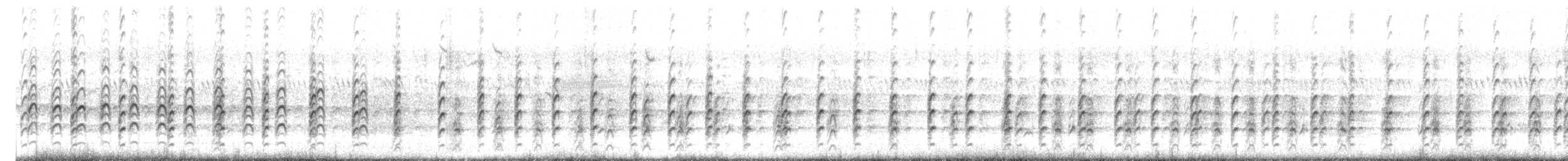 Schwarznacken-Stelzenläufer - ML620964478