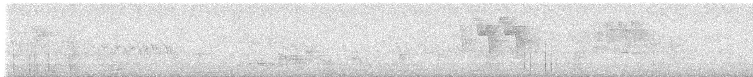 Дрізд-короткодзьоб Cвенсона - ML620975410