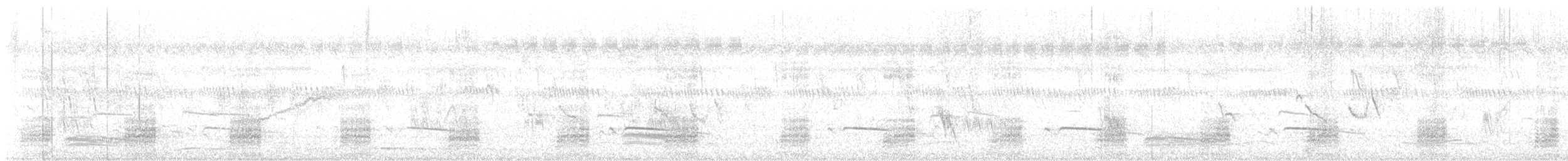 ברווז עקוד-מקור הודי - ML620978968