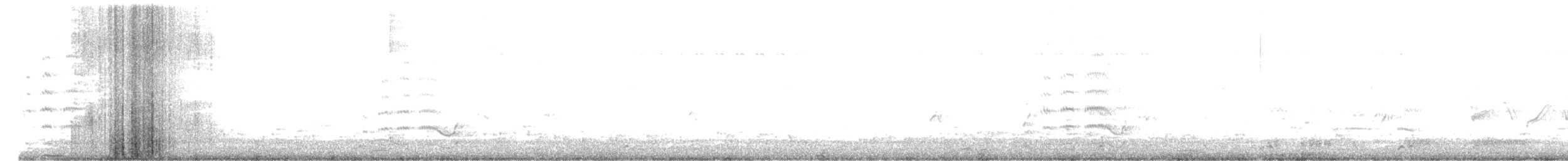 Зозуля білогорла - ML620985902