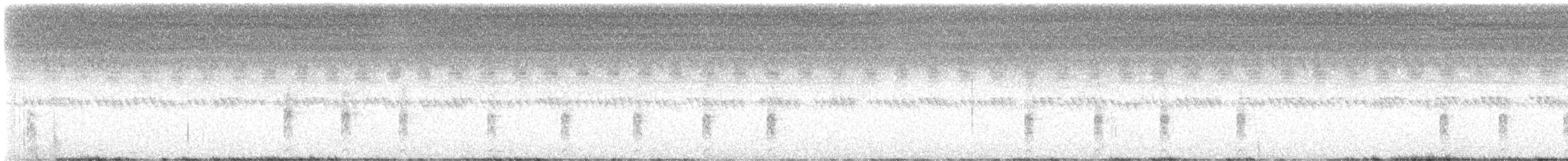 Râle tapageur (saturatus/scottii) - ML620992678