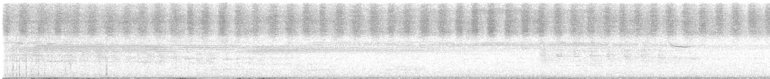 Râle tapageur (saturatus/scottii) - ML620992694
