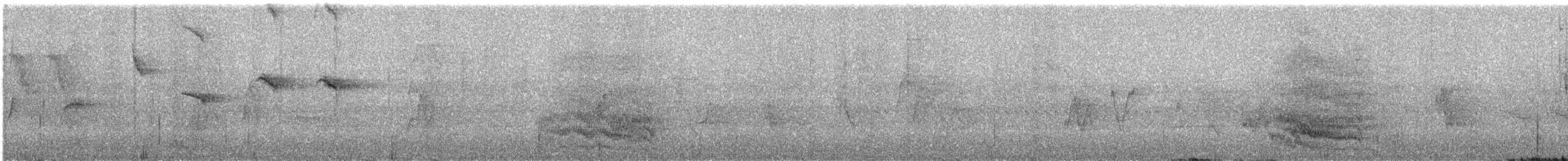 オウム目（インコ科 大きな種） - ML620995200