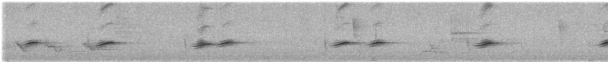 pipilo rudooký (ssp. erythrophthalmus/canaster) - ML620995416