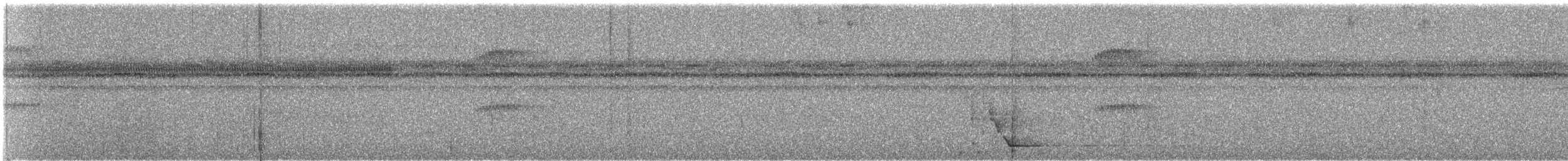 セアカオオツリスドリ（angustifrons グループ） - ML620998039