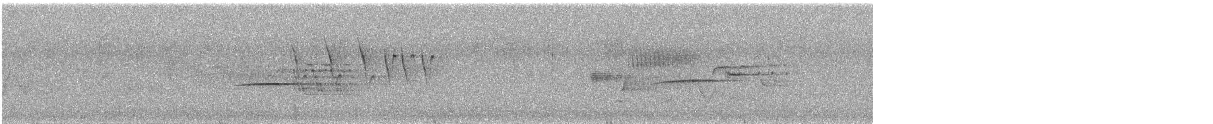 Дрізд-короткодзьоб плямистоволий - ML621000047