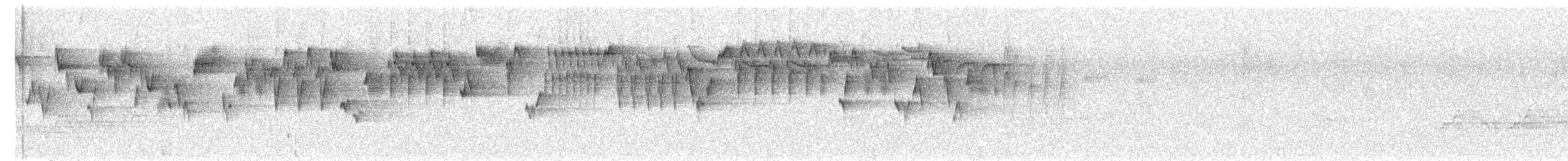 Troglodyte de Baird - ML621000066