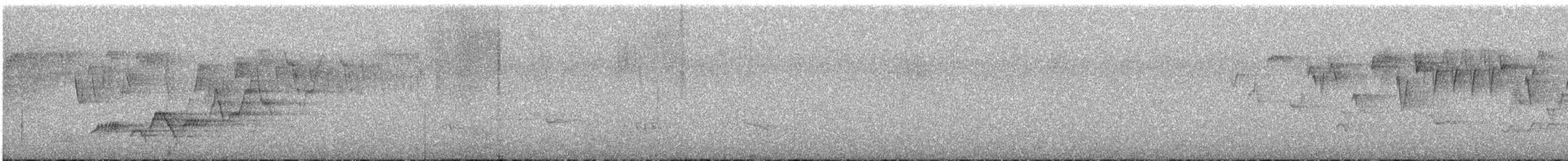 Troglodyte de Baird - ML621000067