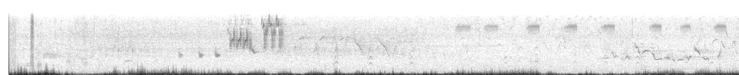 svartkronestylteløper (mexicanus) - ML621001106