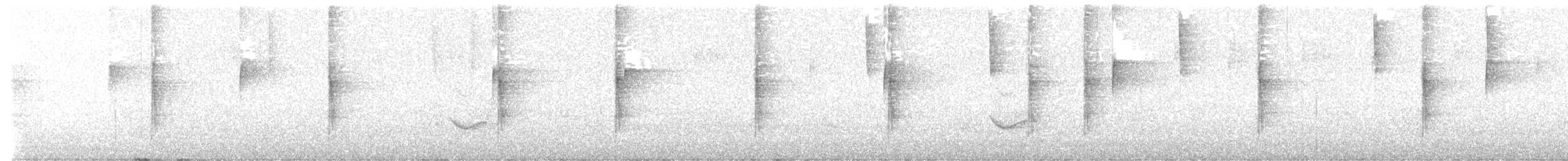Чернокрылая пиранга - ML621001179