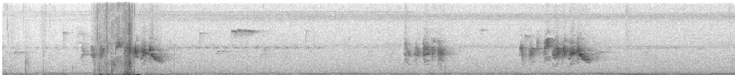 Віреон короткокрилий (підвид arizonae) - ML621001714