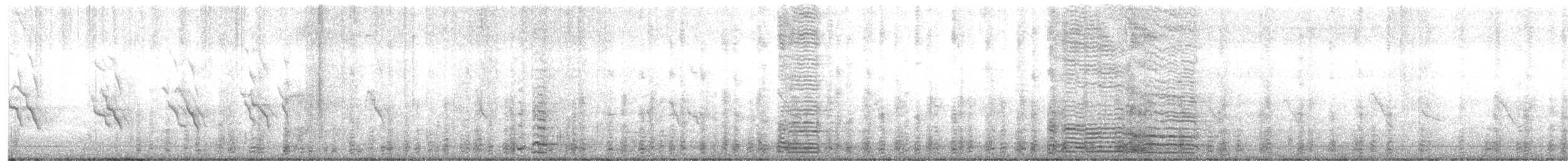 Банкивский петух (Одомашенного вида) - ML621002158