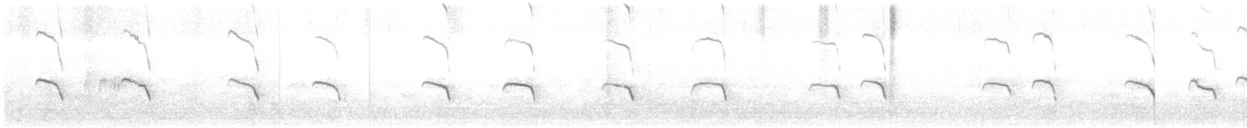 Банкивский петух (Одомашенного вида) - ML621002735