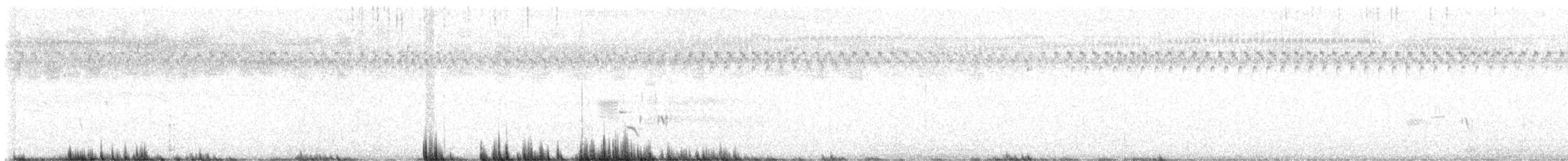 Приморская овсянка-барсучок [группа sennetti] - ML621003731