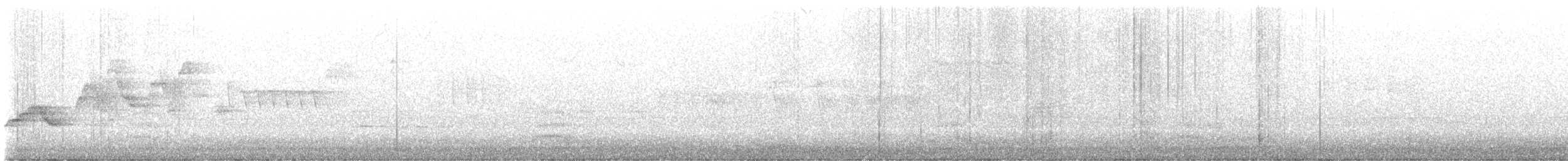 Дрізд-короткодзьоб Cвенсона - ML621008050