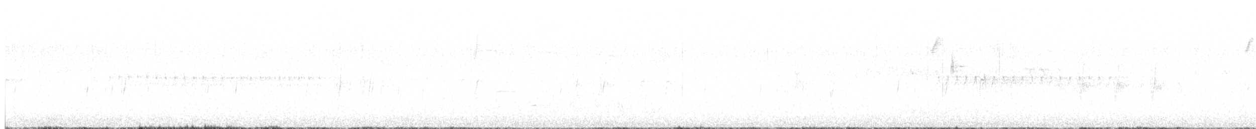 Шишкар ялиновий - ML621009037
