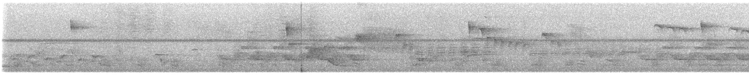Поплітник каролінський - ML621009357