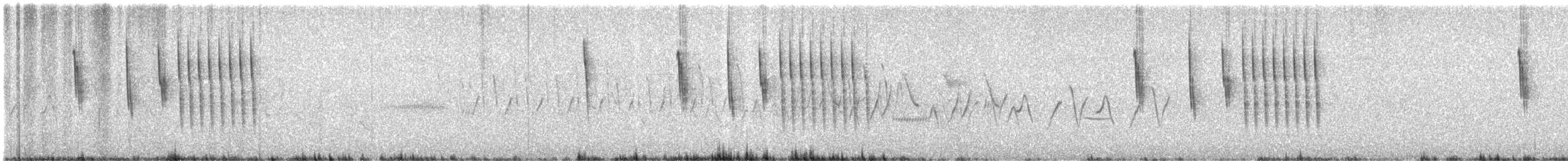 Sedge Wren - ML621009408