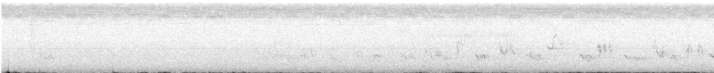 ハエトリツグミ - ML621011488