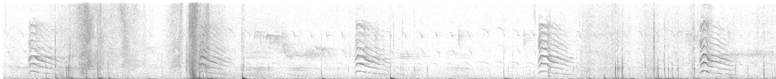 Дятел-смоктун білочеревий - ML621011675