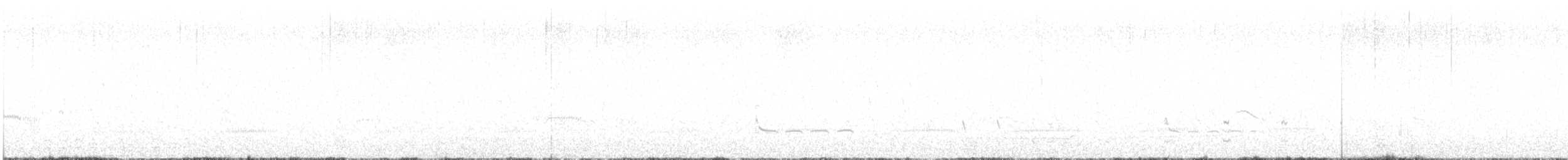 Istingor arrunta - ML621011918