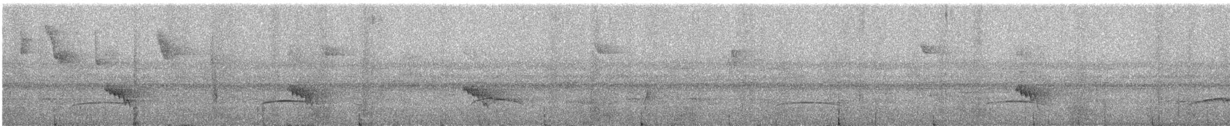 Boz Başlı Sinekkapan - ML621012008