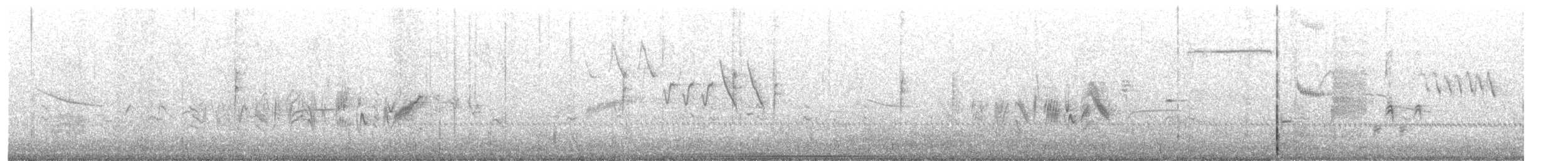 Braunaugenvireo (pusillus) - ML621012570